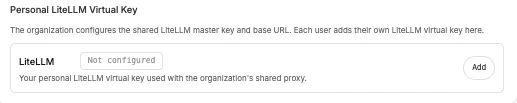 Personal LiteLLM virtual key settings