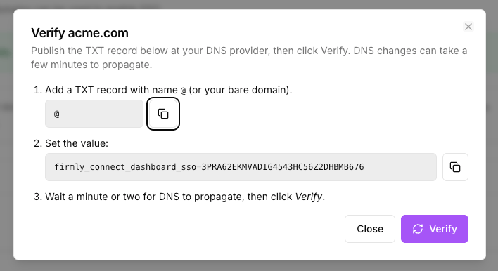 DNS TXT record details with copy button