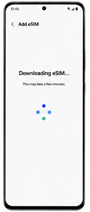 Downloading eSIM progress screen