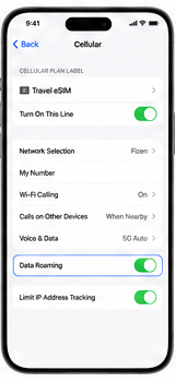 eSIM line settings with Turn On This Line and Data Roaming enabled