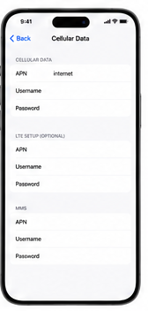 iOS Cellular Data APN settings screen