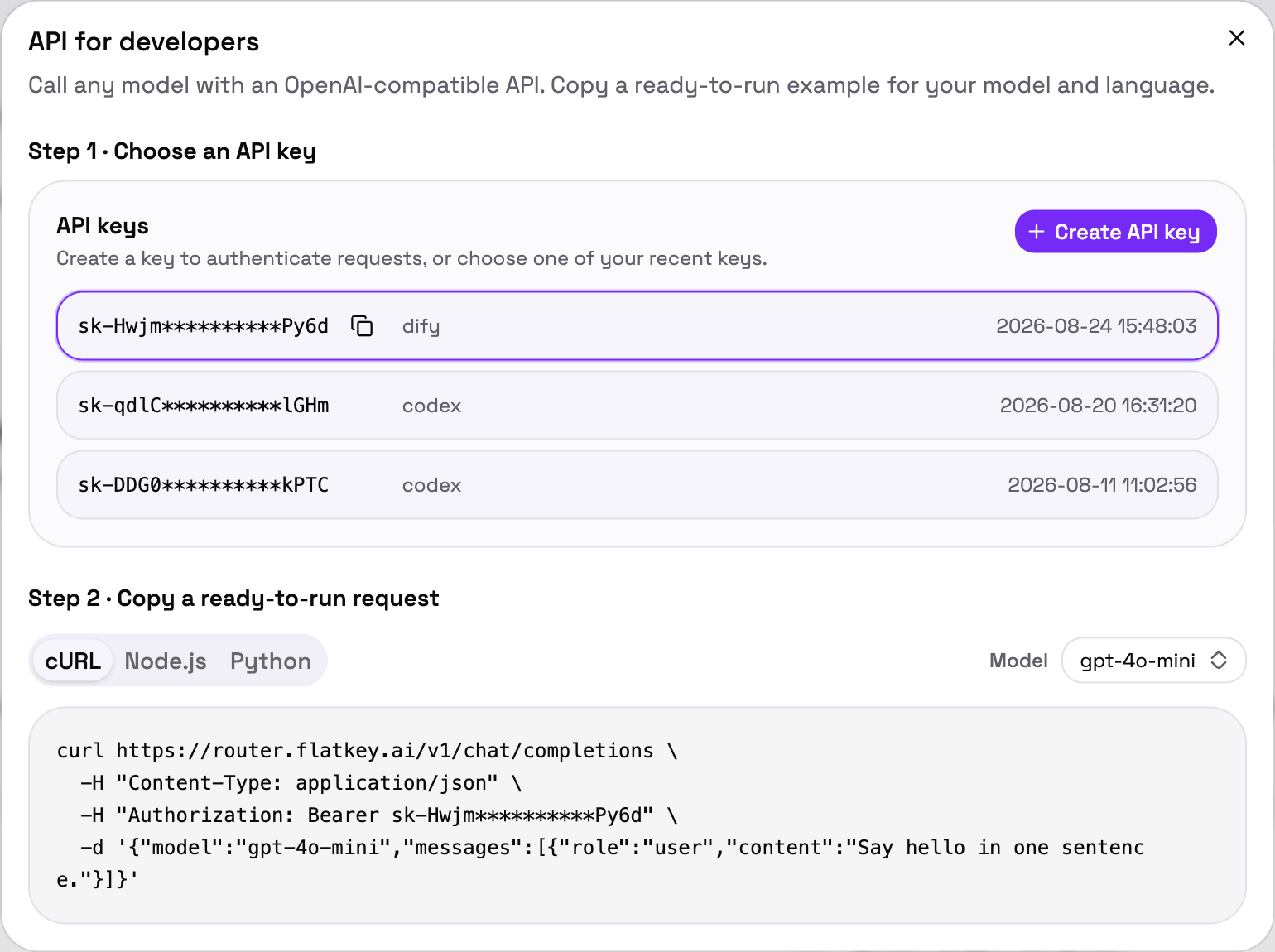 The API for developers panel, with a ready-to-run request
