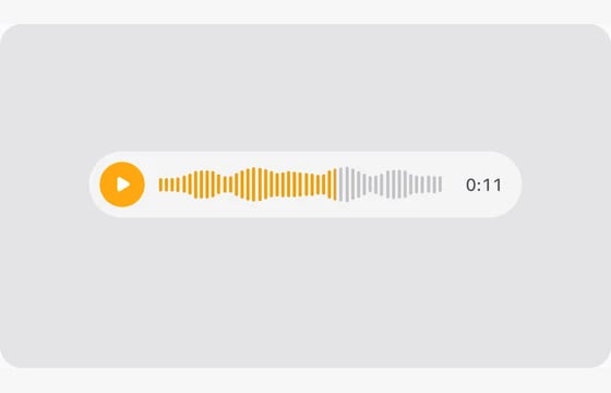 Audio in the FLEX Fields playground