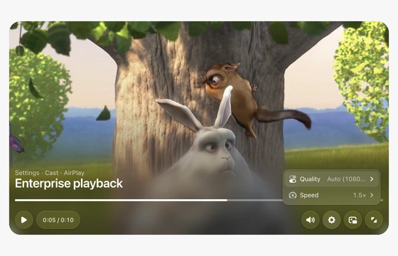 Video in the FLEX Fields playground