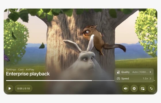 Video in the FLEX Fields playground