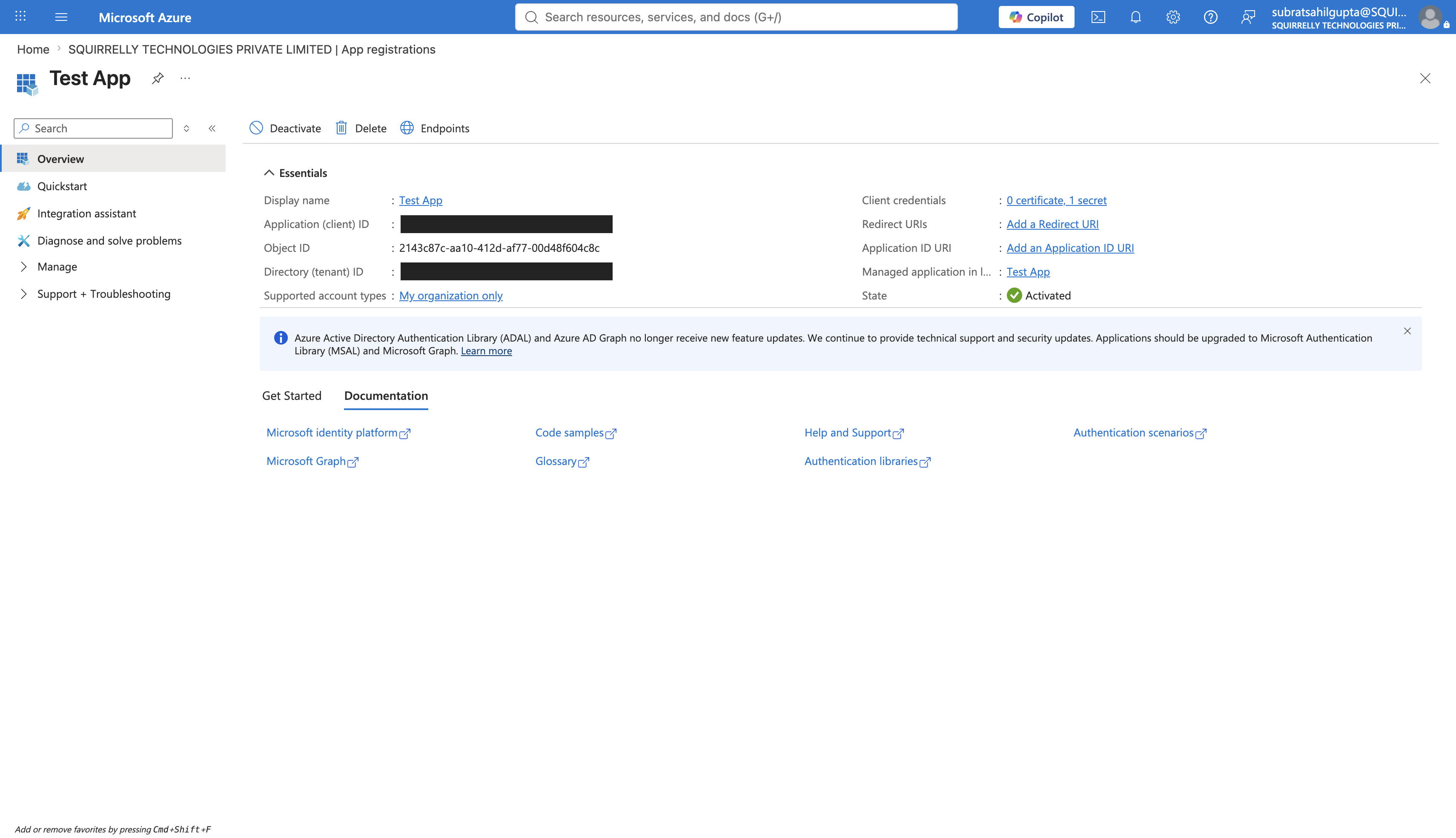 The app registration's Overview page, showing the Application (client) ID and Directory (tenant) ID
