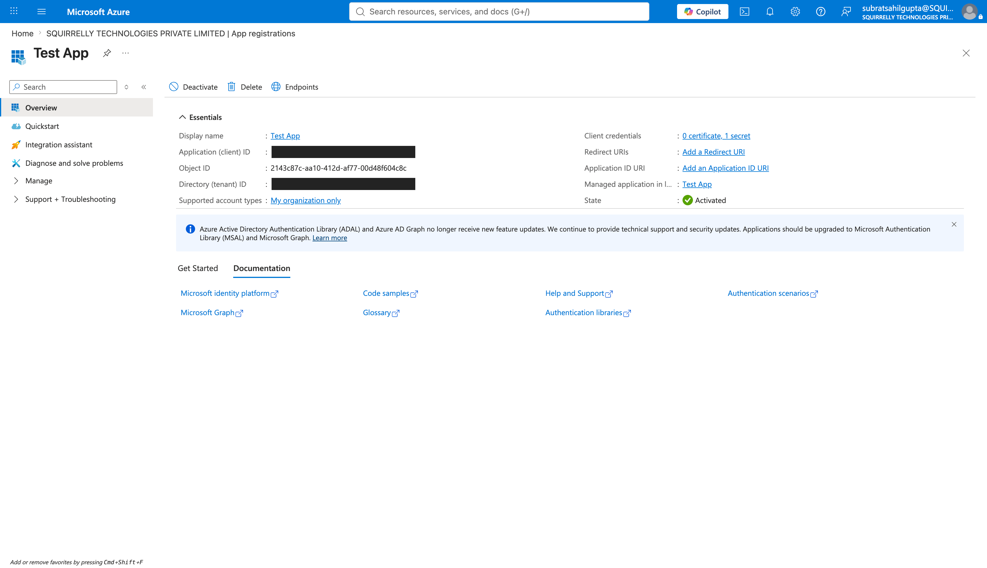 The app registration's Overview page, showing the Application (client) ID and Directory (tenant) ID