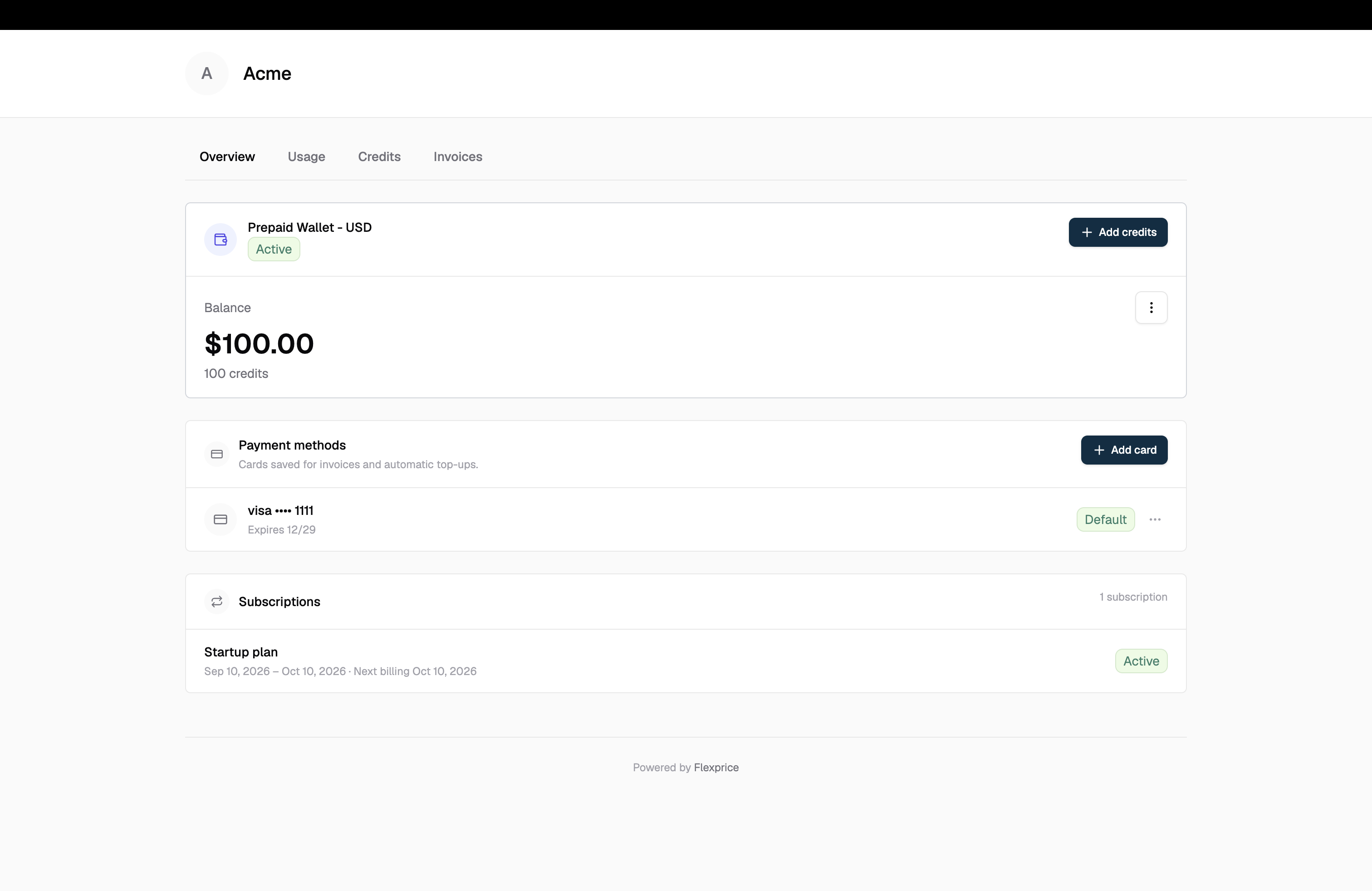 Portal Overview with the wallet balance and Add credits action above the saved payment methods list