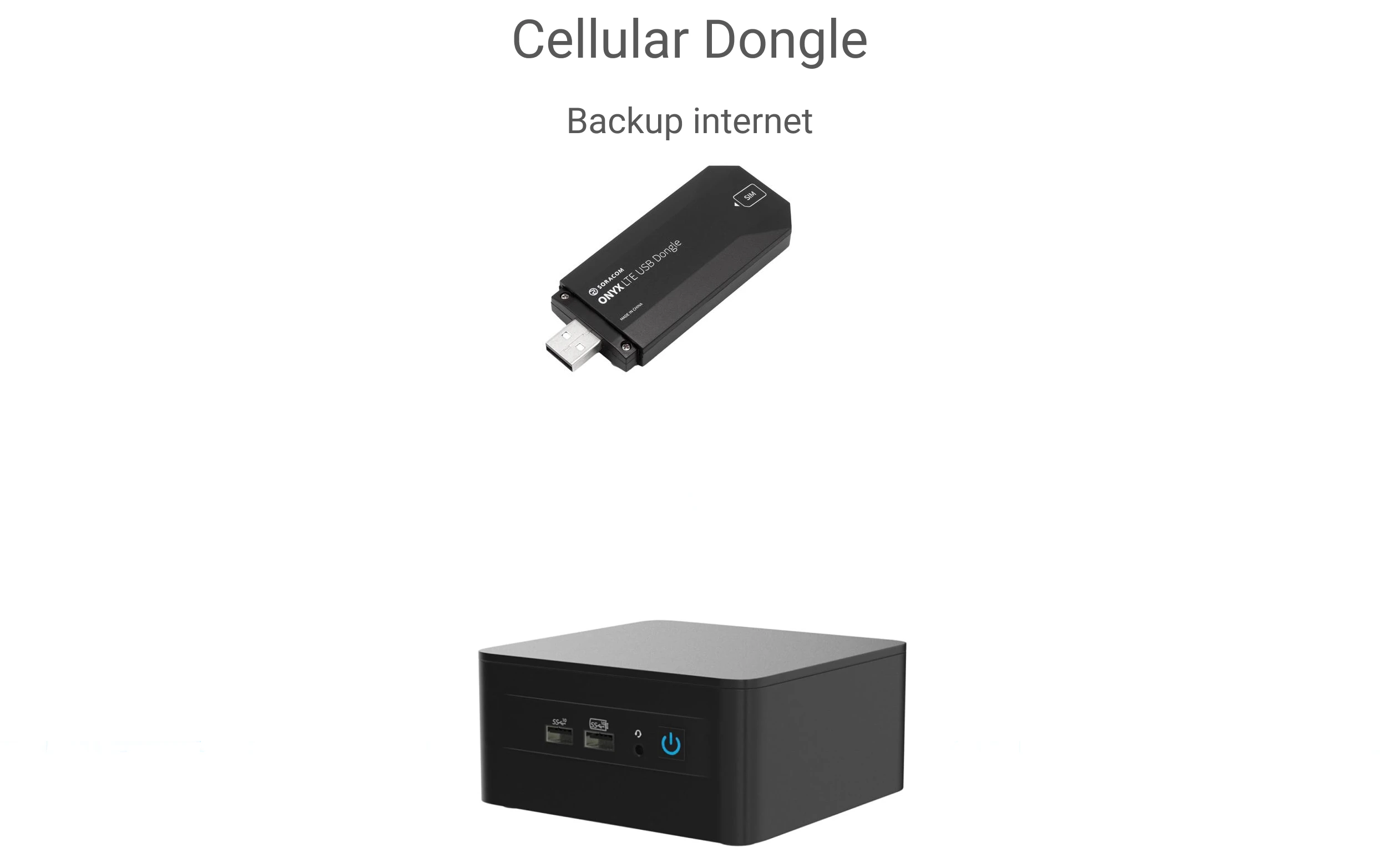 Cellular Pn