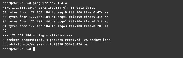 Successful ping to the gate at 172.162.184.4