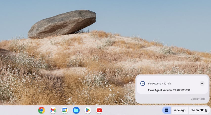 chromeos