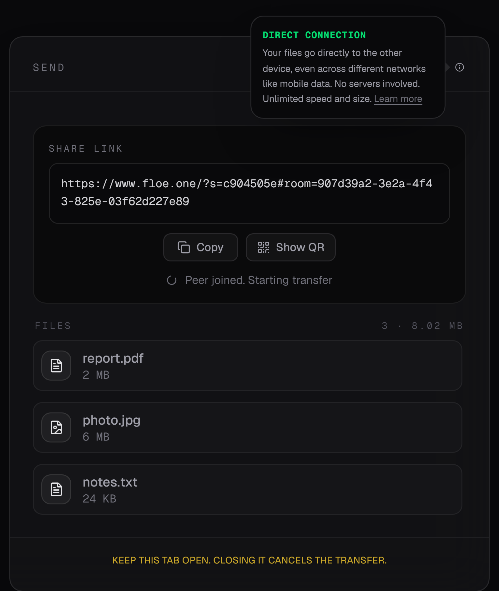 The Floe send card with a green Direct badge and an open panel reading Direct Connection: your files go directly to the other device, even across different networks like mobile data