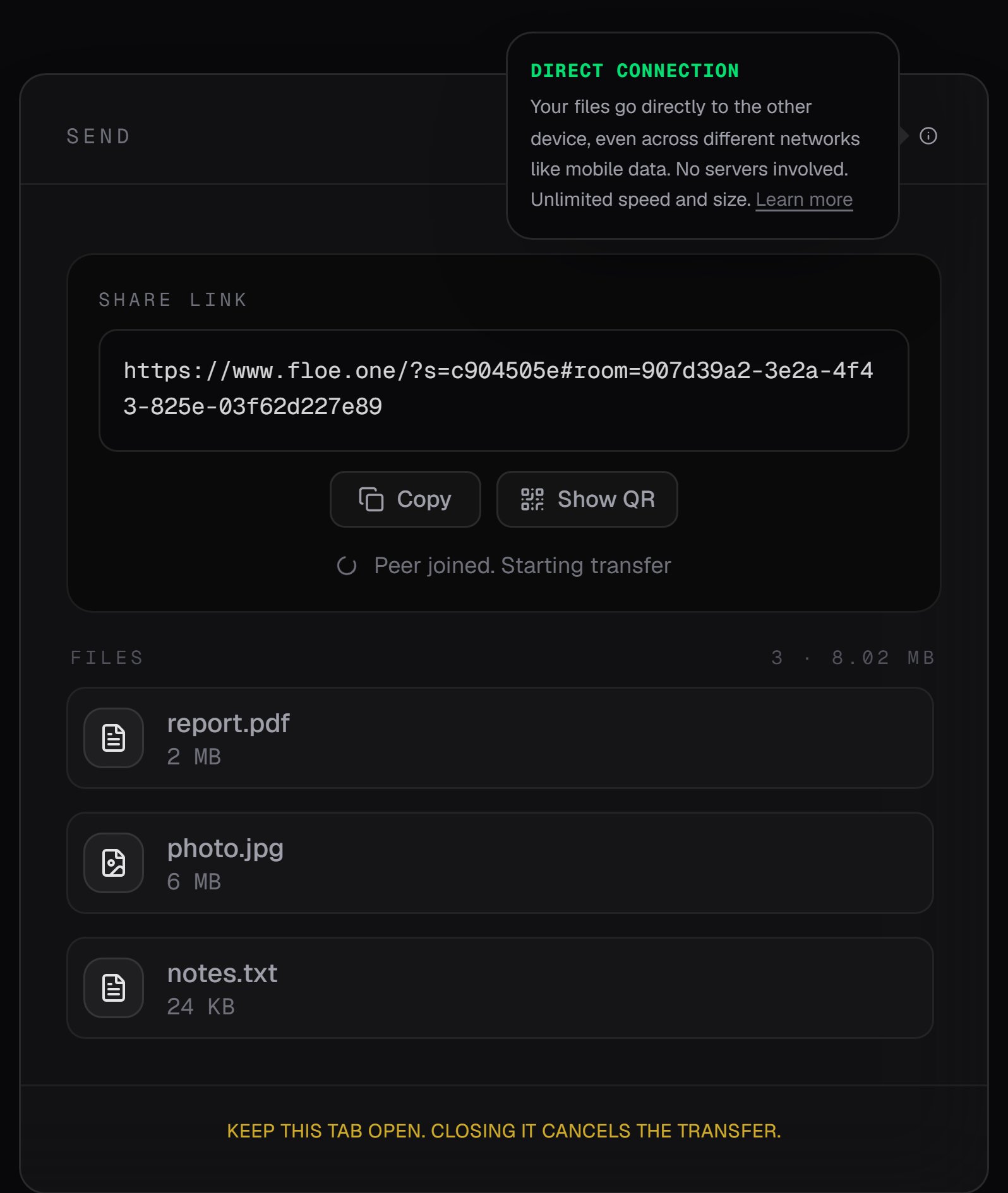 The Floe send card with a green Direct badge and an open panel reading Direct Connection: your files go directly to the other device, even across different networks like mobile data