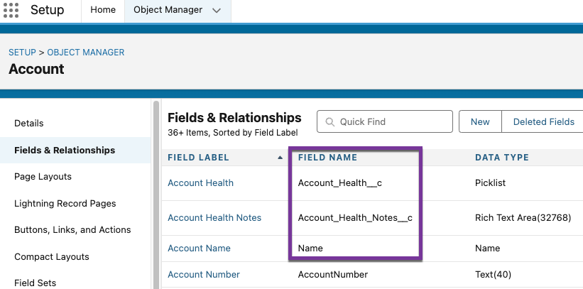 Field Name in Salesforce