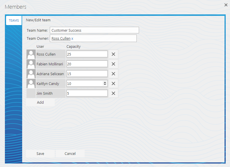 Team capacity settings