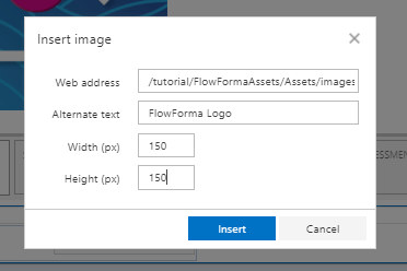 Image size and alternative text settings