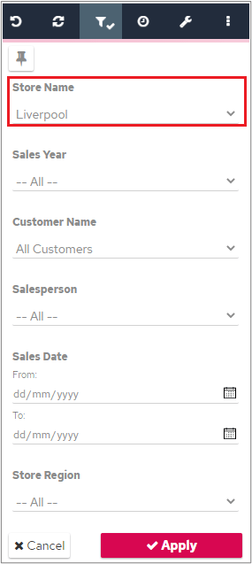Page filter panel showing a default Store Name filter