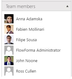 Team members panel