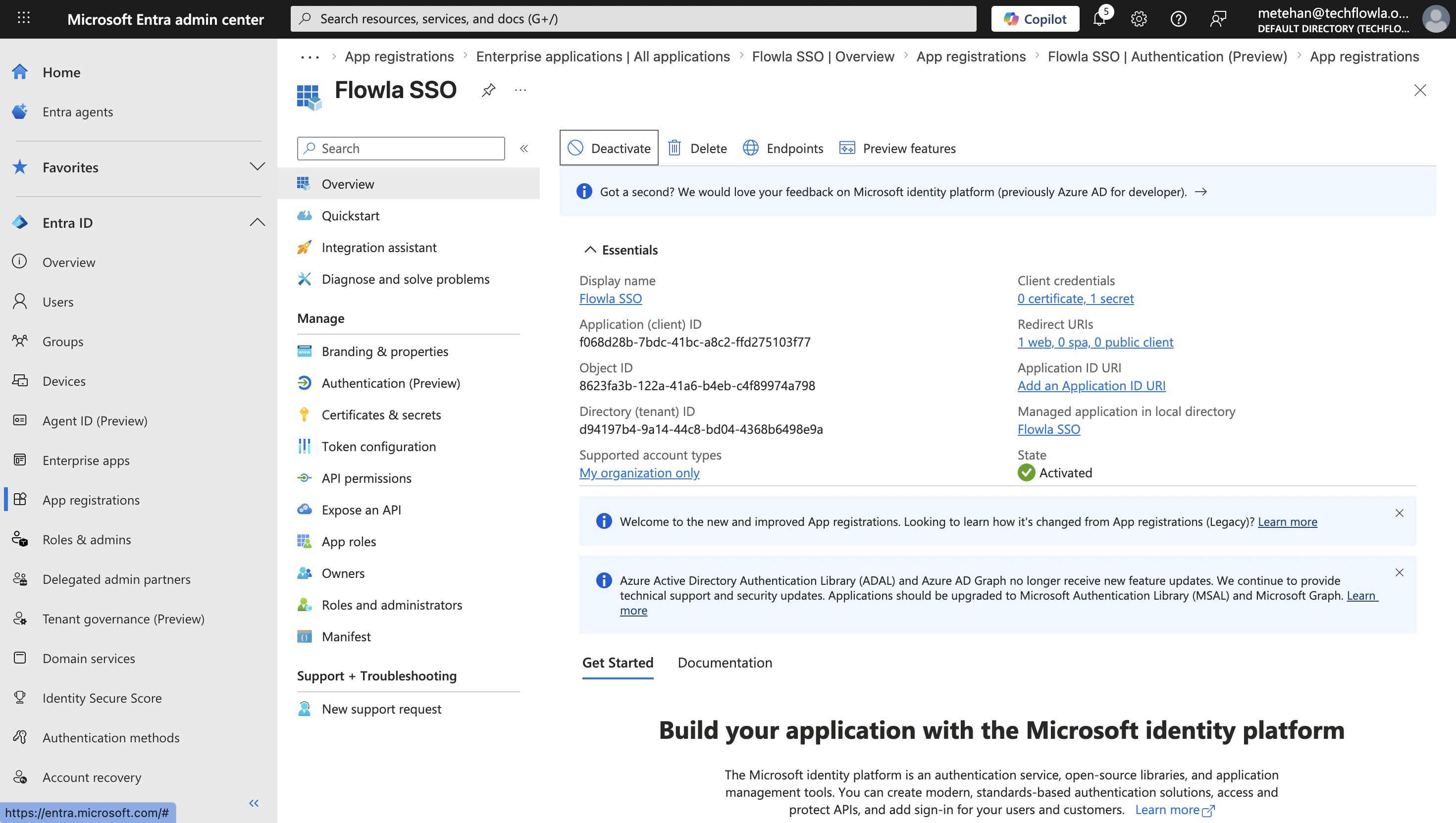 Entra ID overview page showing application and directory IDs