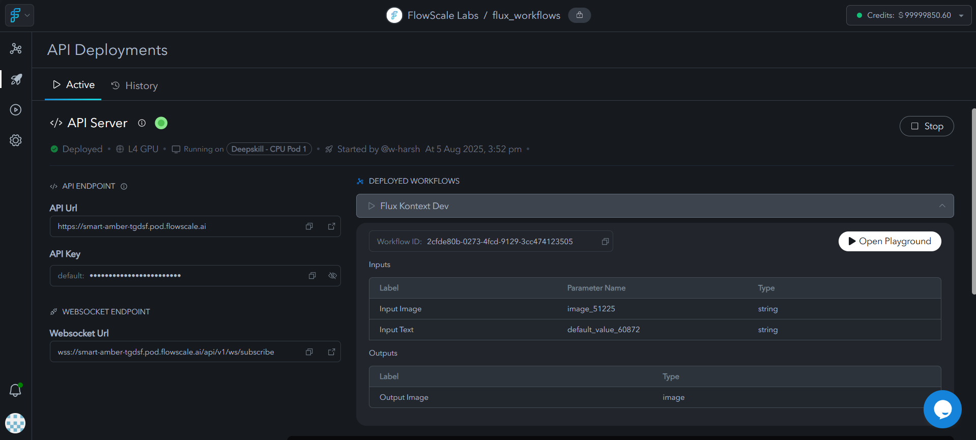 Project deployments dashboard showing deployed APIs and playground interfaces with status indicators, endpoint URLs, and management controls