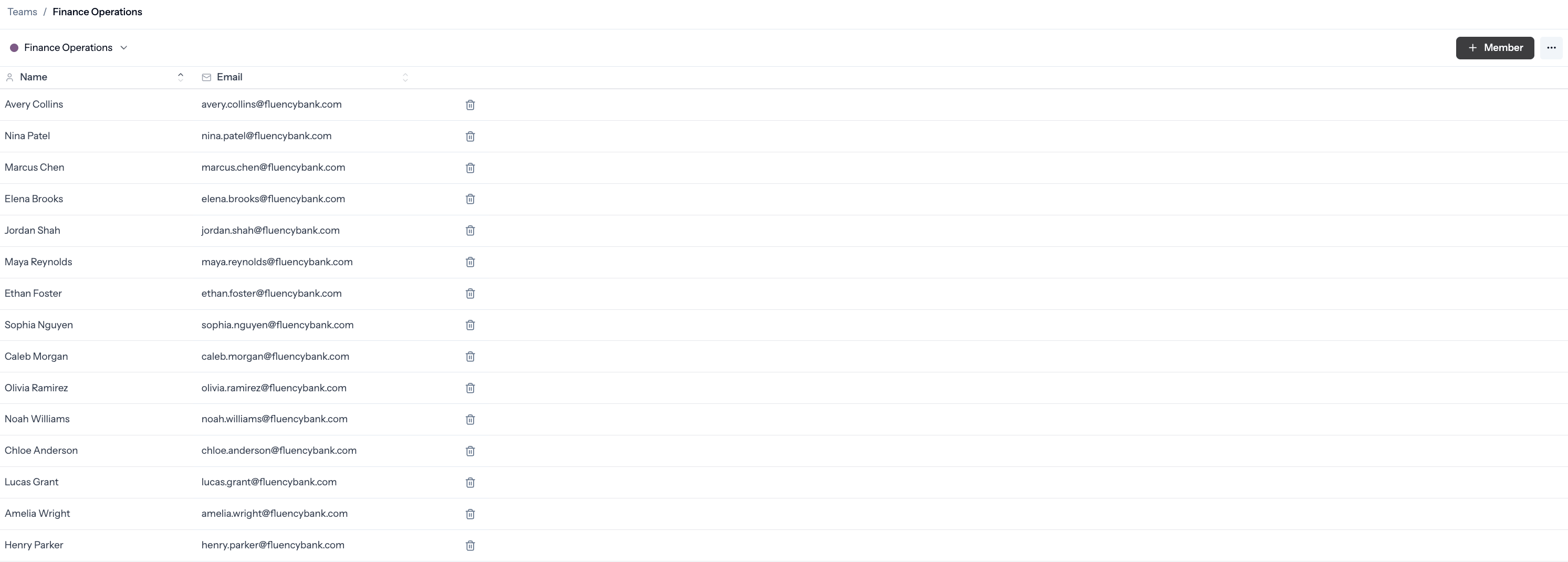 Team detail page showing the member list with names and emails