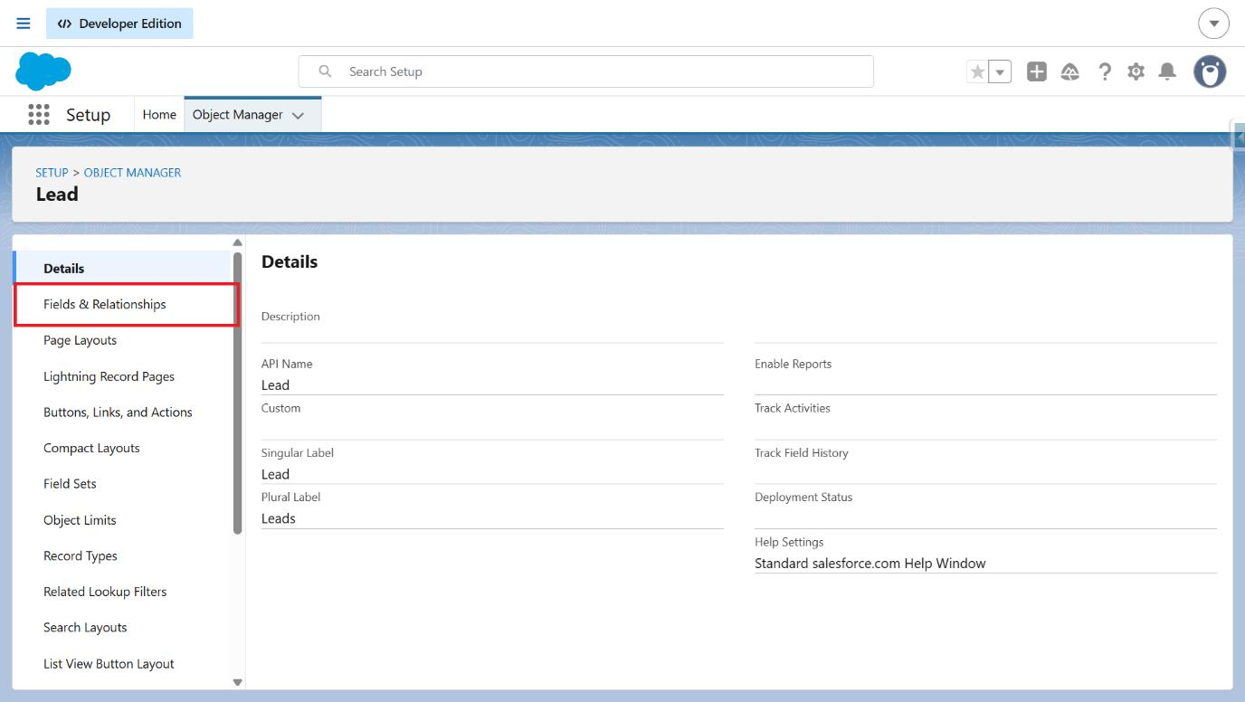 Lead object sidebar with Fields and Relationships selected