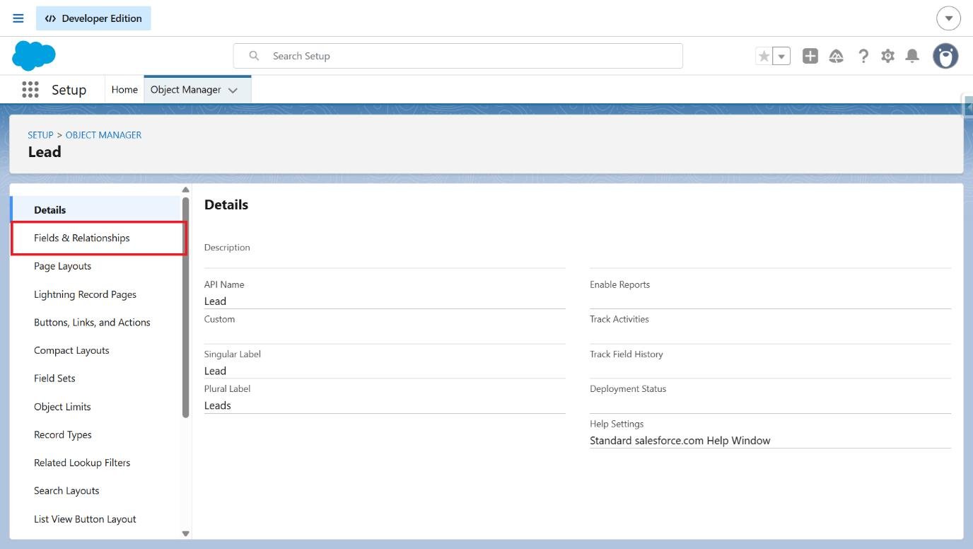 Lead object sidebar with Fields and Relationships selected