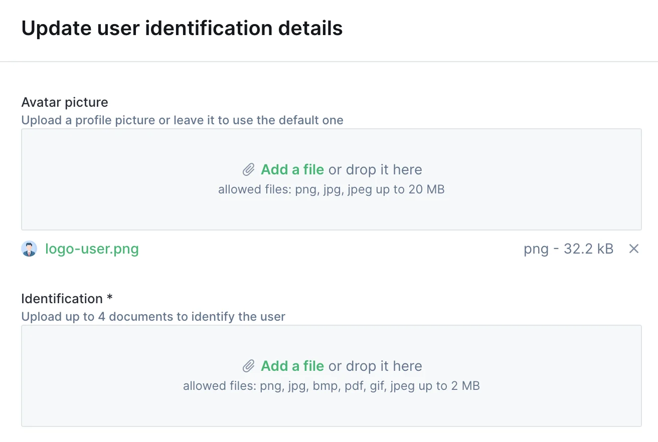 FilePicker widget on an action form