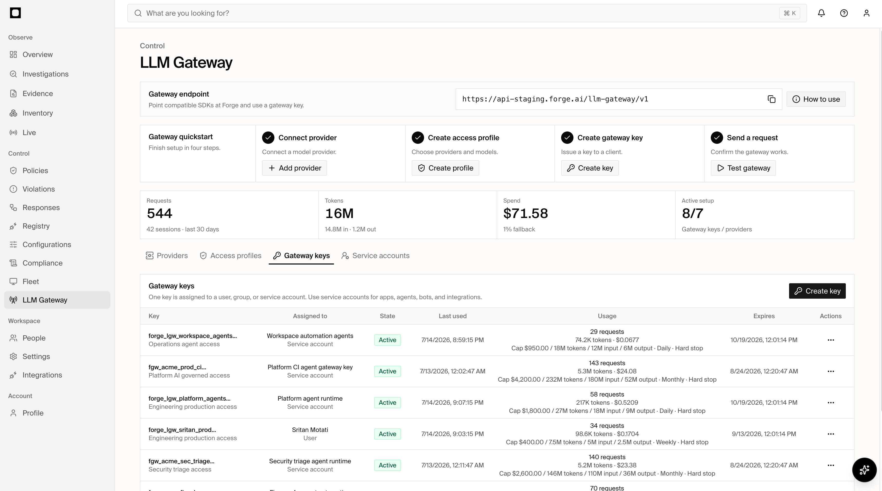 Forge LLM Gateway showing endpoint setup, providers, access profiles, gateway keys, usage, and spend