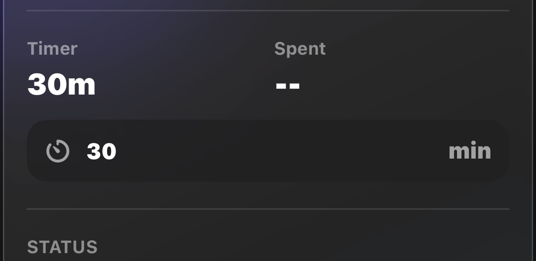 Timer and time spent inside the task details view