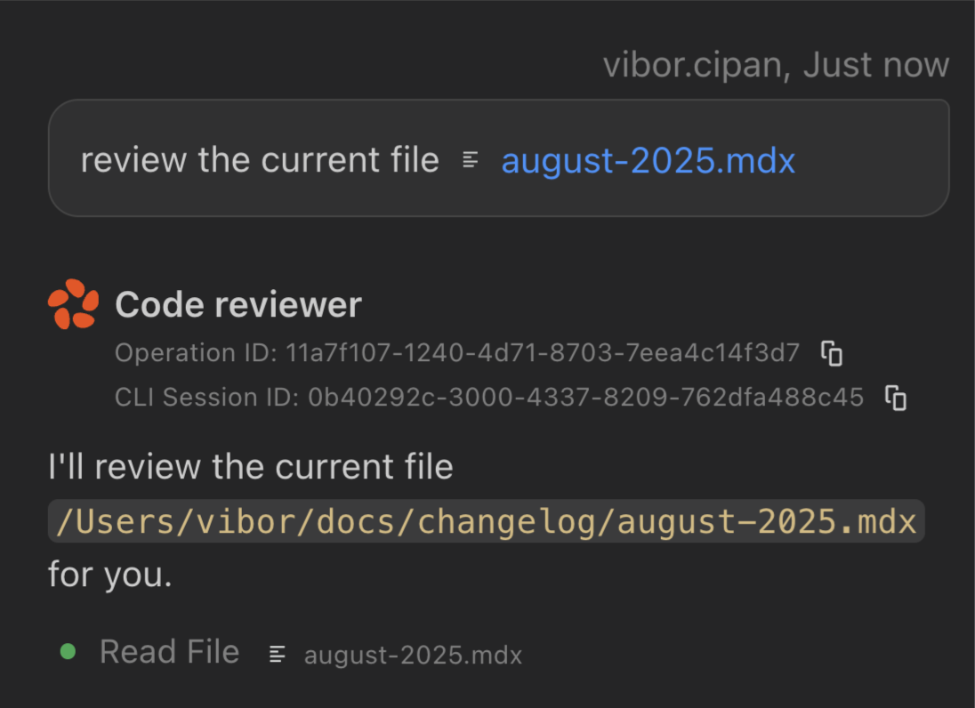 Using Claude Code with custom agents - showing Review Agent reviewing august-2025.mdx file