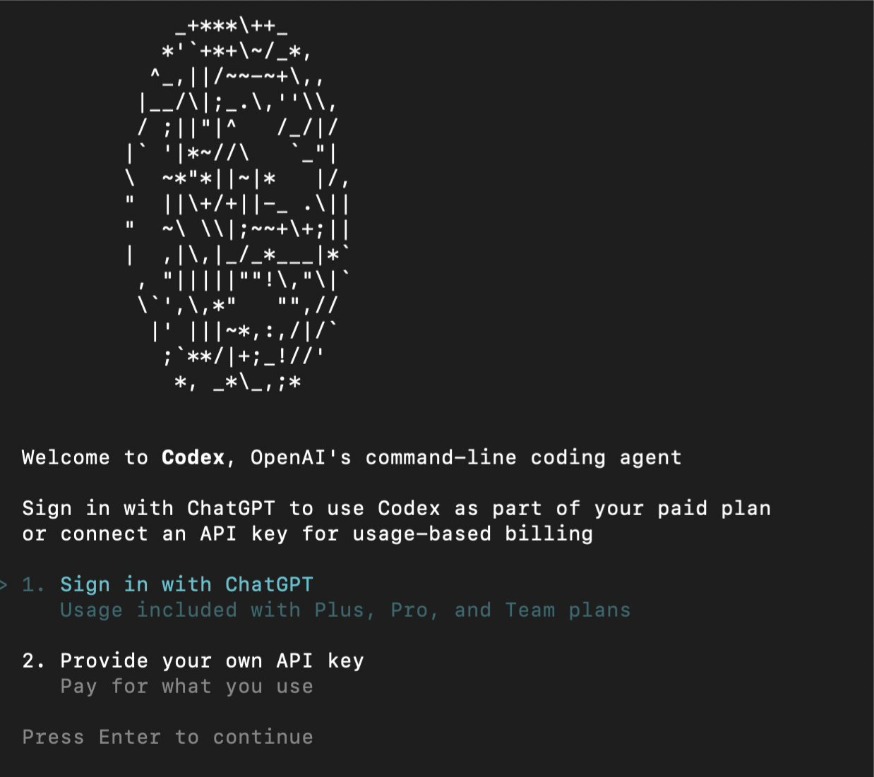 Open terminal to login prompt