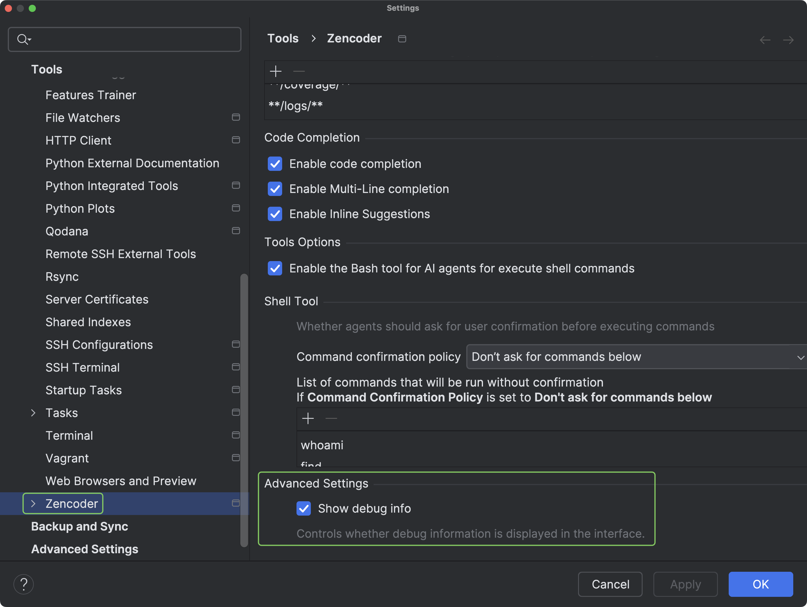 JetBrains Debug Settings