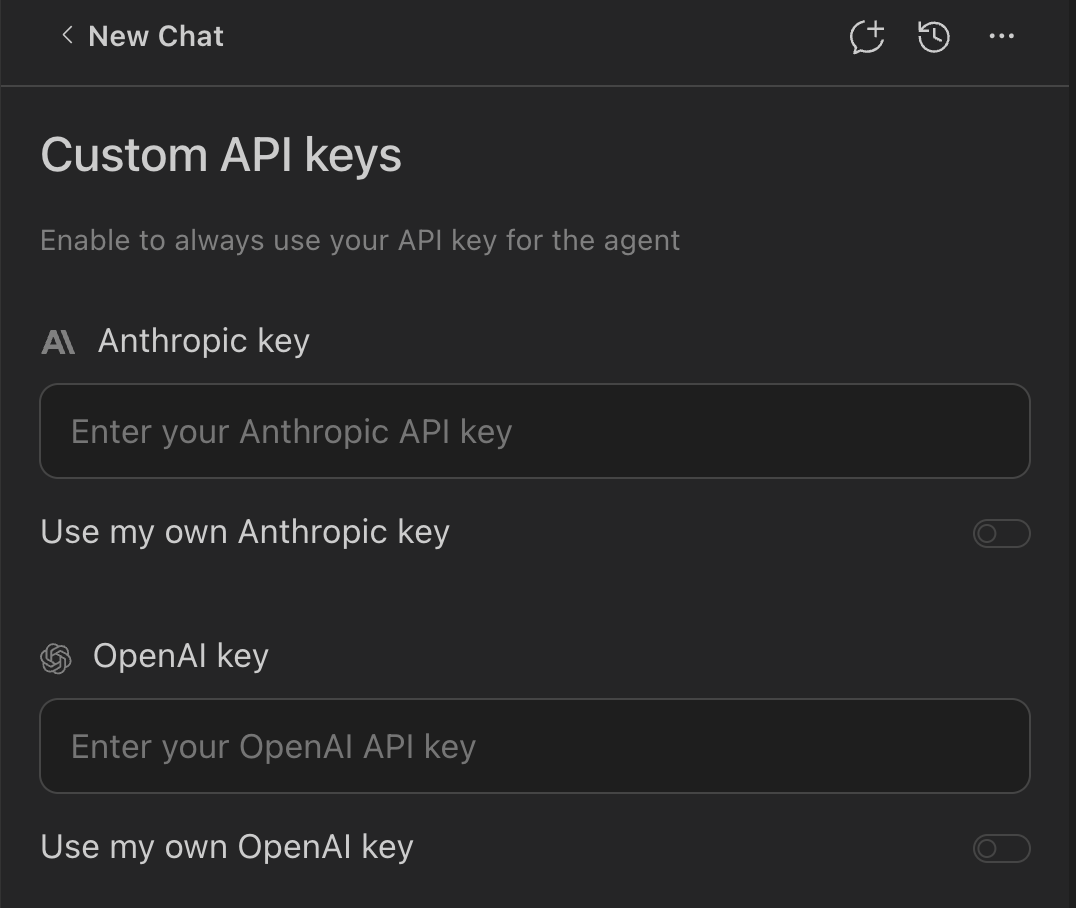 Custom API keys screen with Anthropic and OpenAI fields