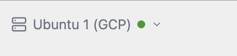 Connected remote VM in the Zenflow title-bar host selector