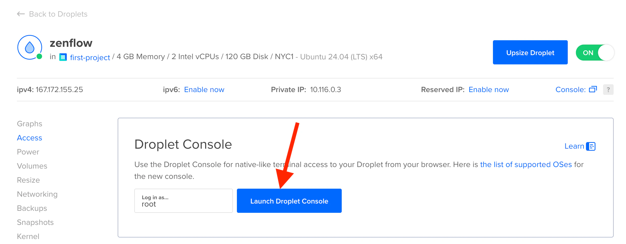 button to launch droplet console