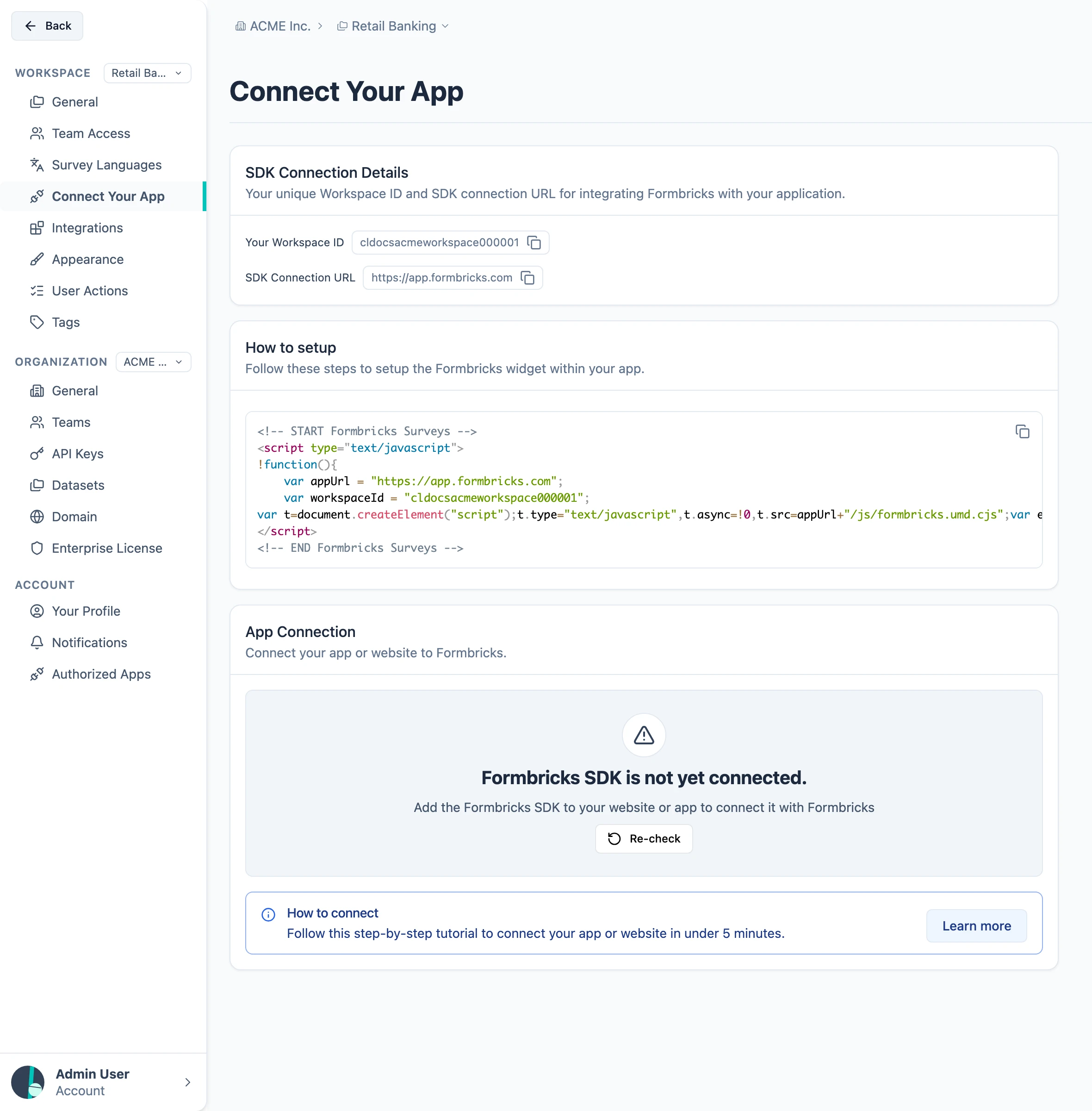 The Connect Your App settings page with the Workspace ID, the SDK Connection URL, the code snippet and an App Connection card reading "Formbricks SDK is not yet connected"