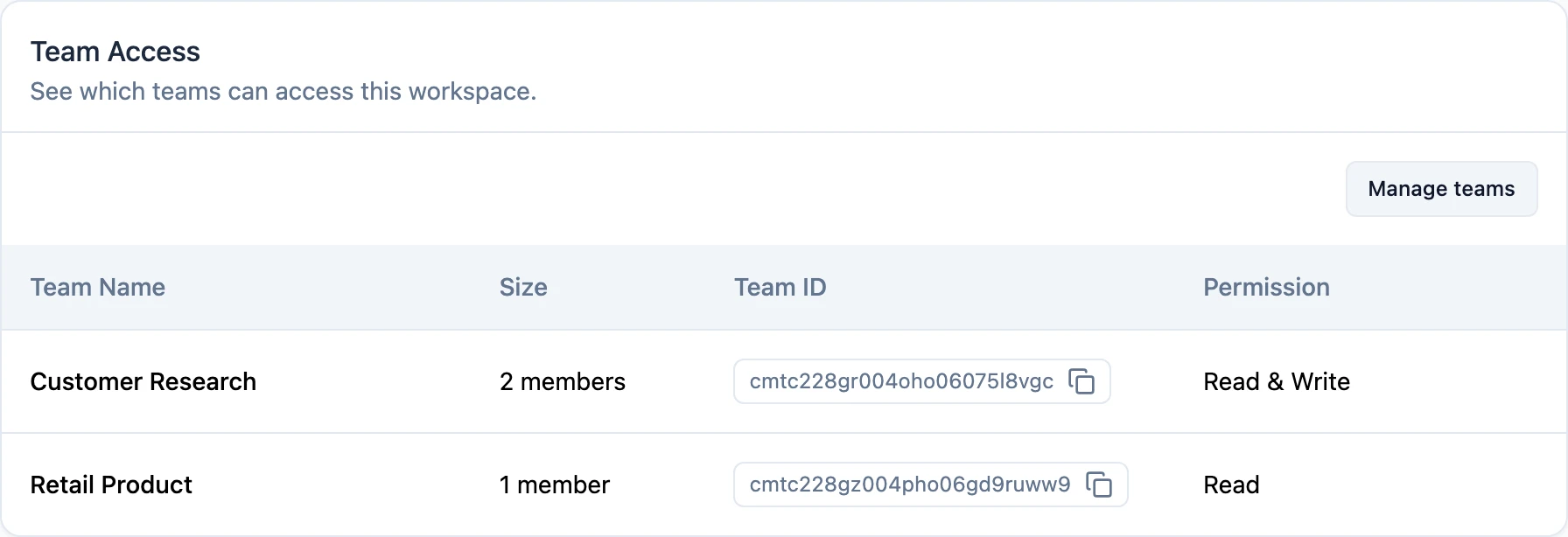 Team Access, showing each team's permission on this workspace