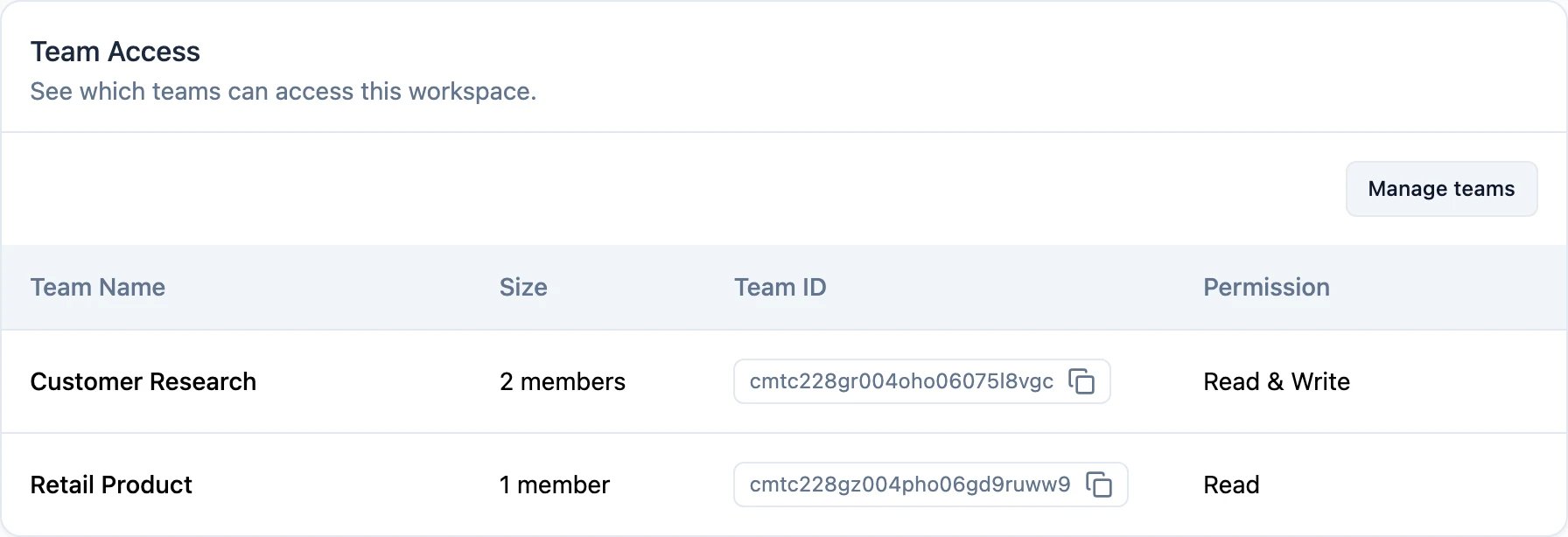Team Access, showing each team's permission on this workspace