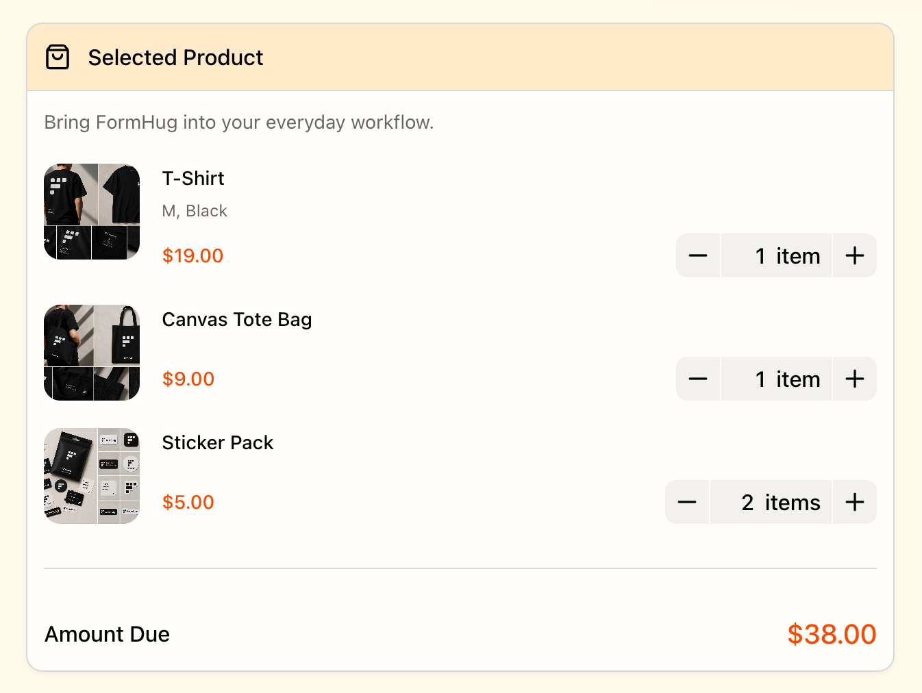 Selected Product summary showing multiple merchandise items, quantities, and amount due