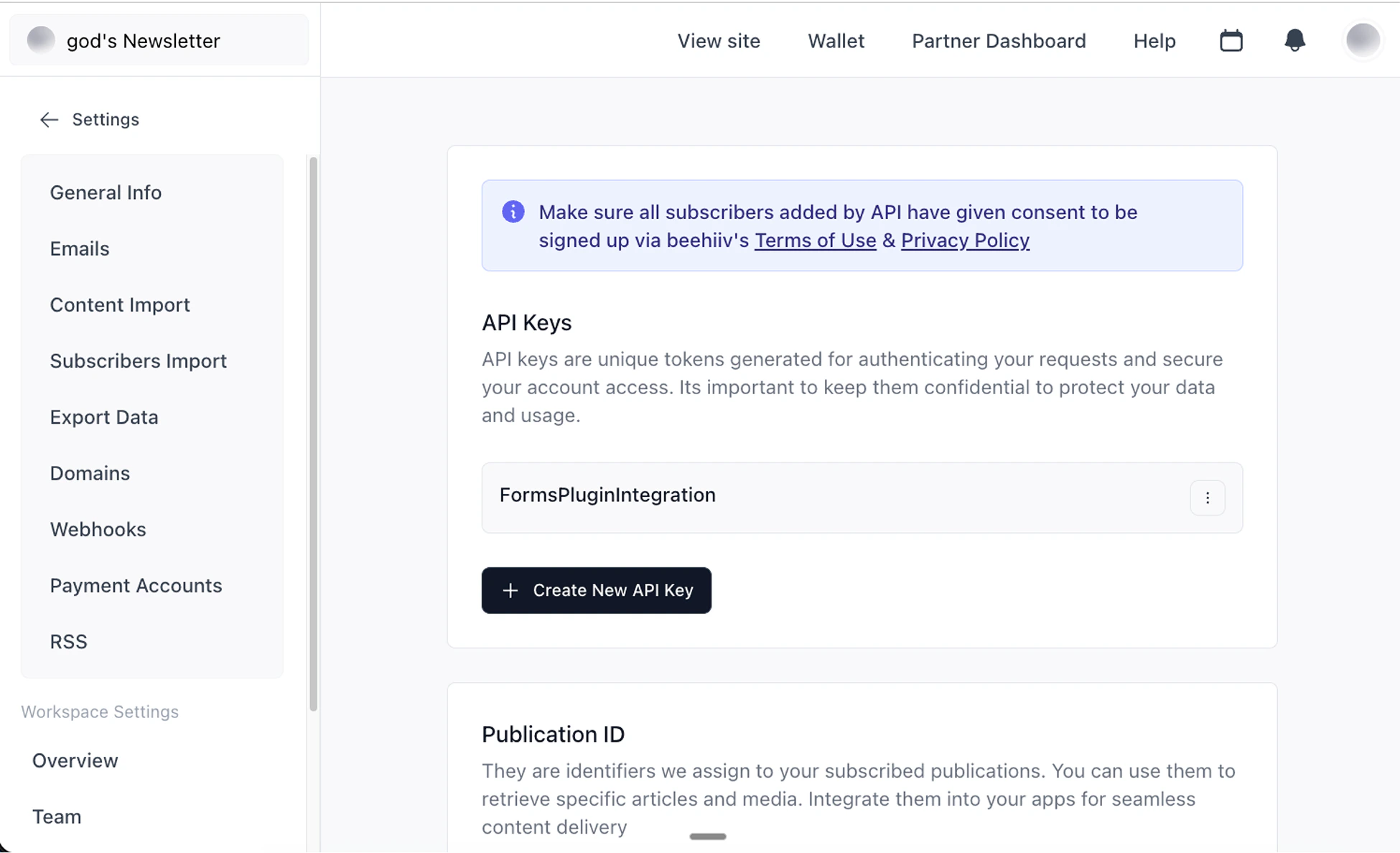 Beehiiv account showing the API settings page