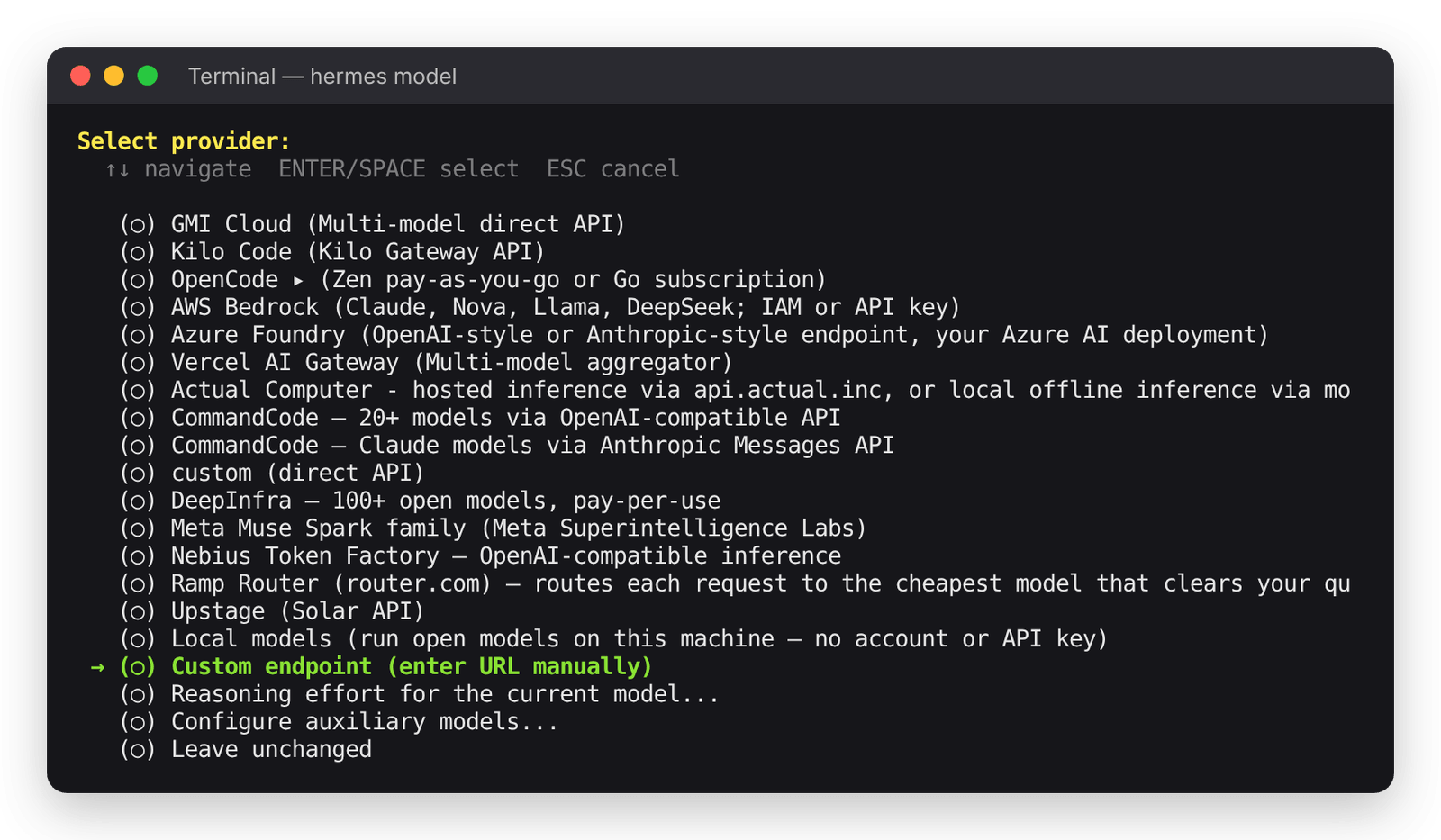 Hermes Agent: Custom endpoint in the provider list