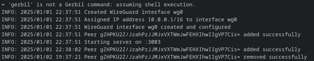 Gerbil logs showing WireGuard interface startup