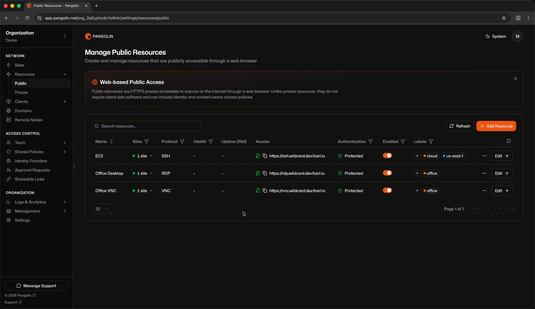 Remote desktop session rendered in the Pangolin web dashboard