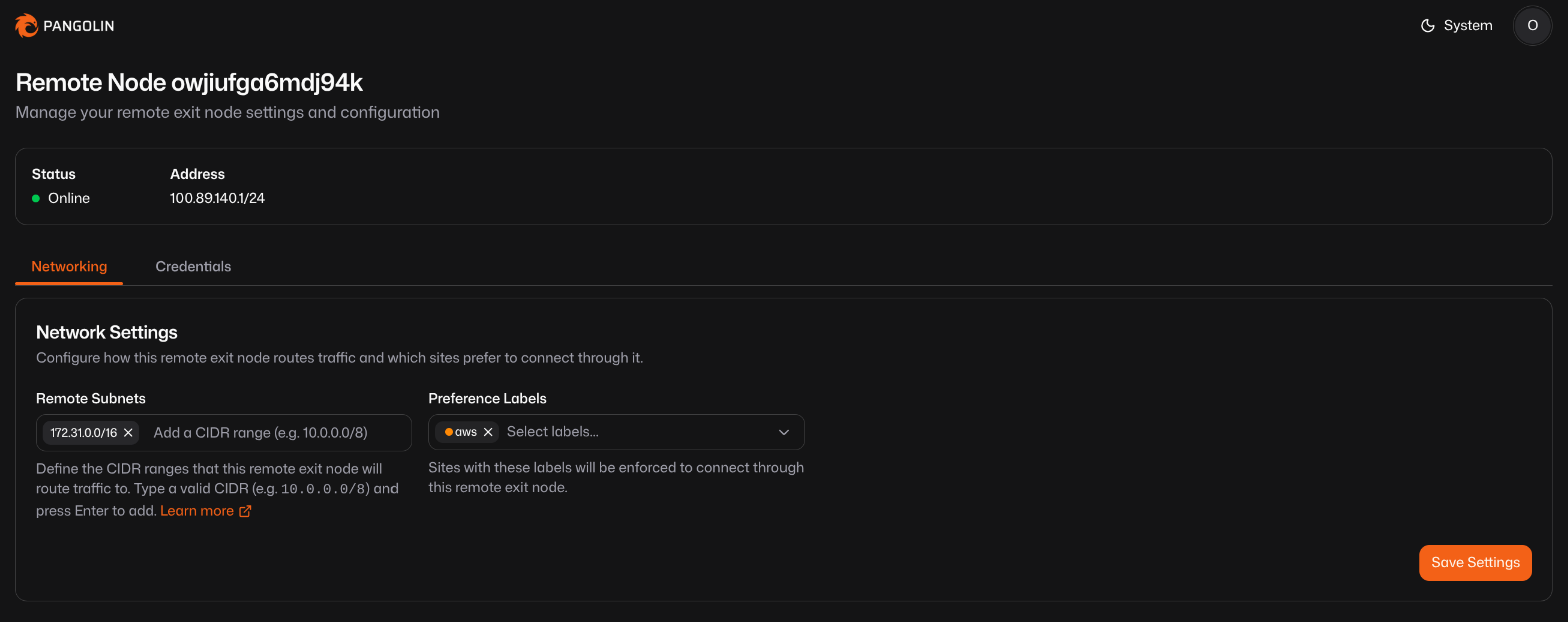 Pangolin dashboard remote subnets setting with VPC CIDR added