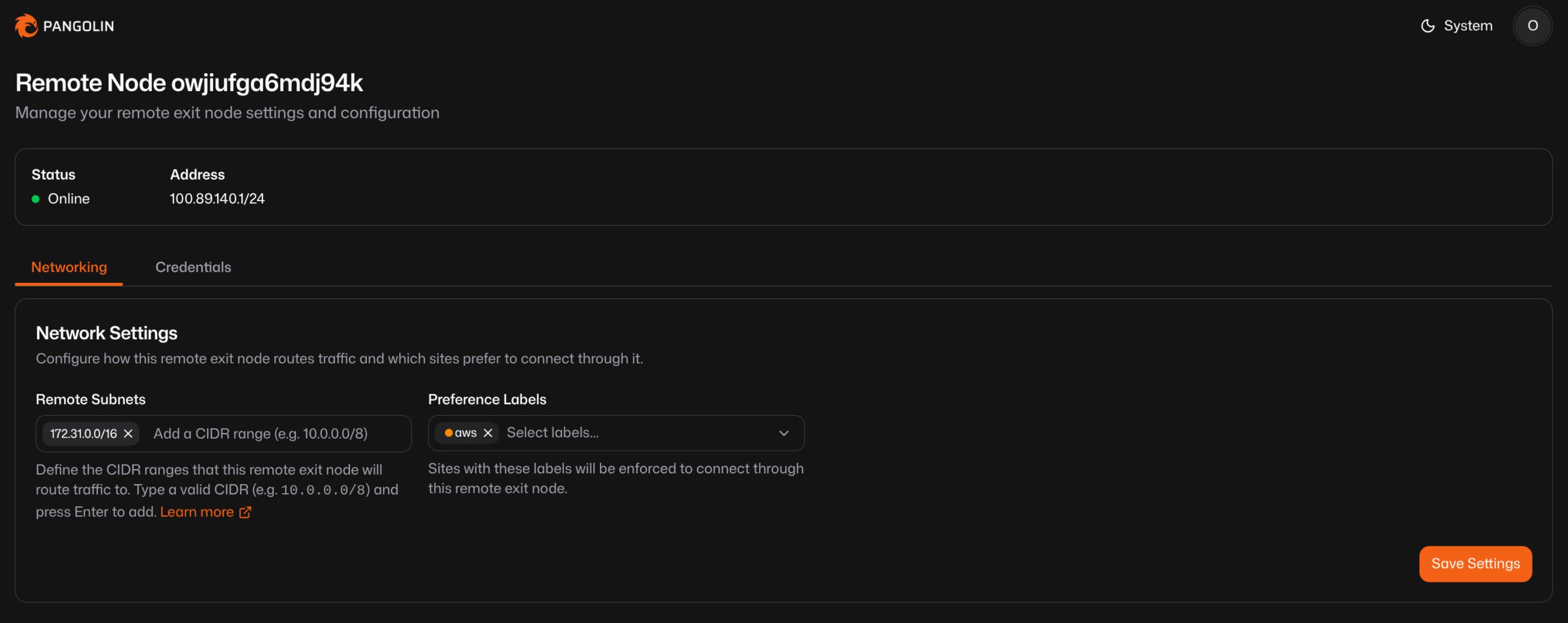 Pangolin dashboard remote subnets setting with VPC CIDR added