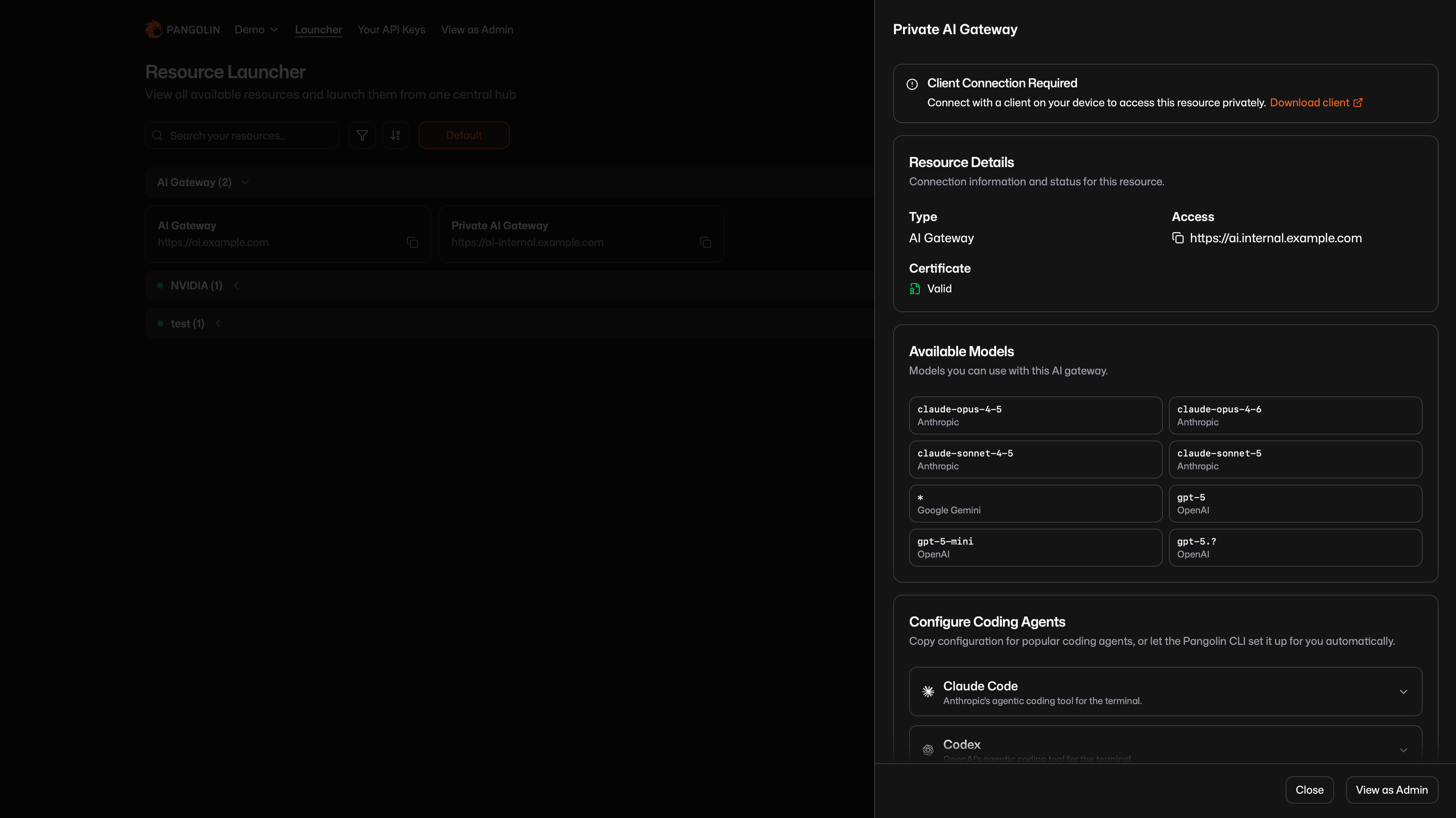 Resource Launcher detail panel showing a private AI Gateway as an example