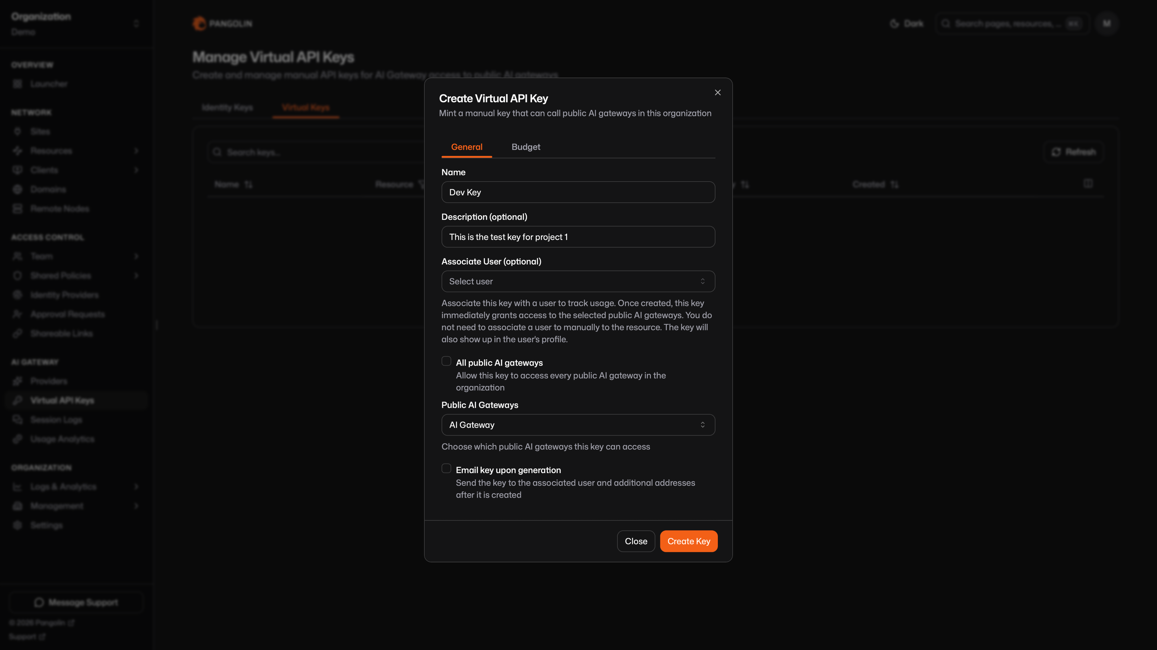Create Virtual API Key dialog with name, description, and public AI gateway access