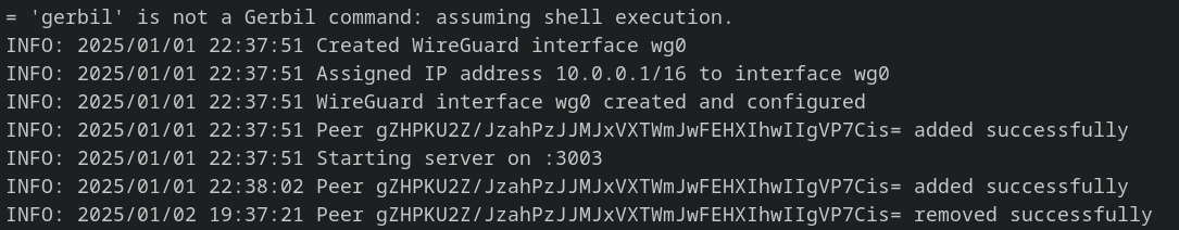 Gerbil logs showing WireGuard interface startup