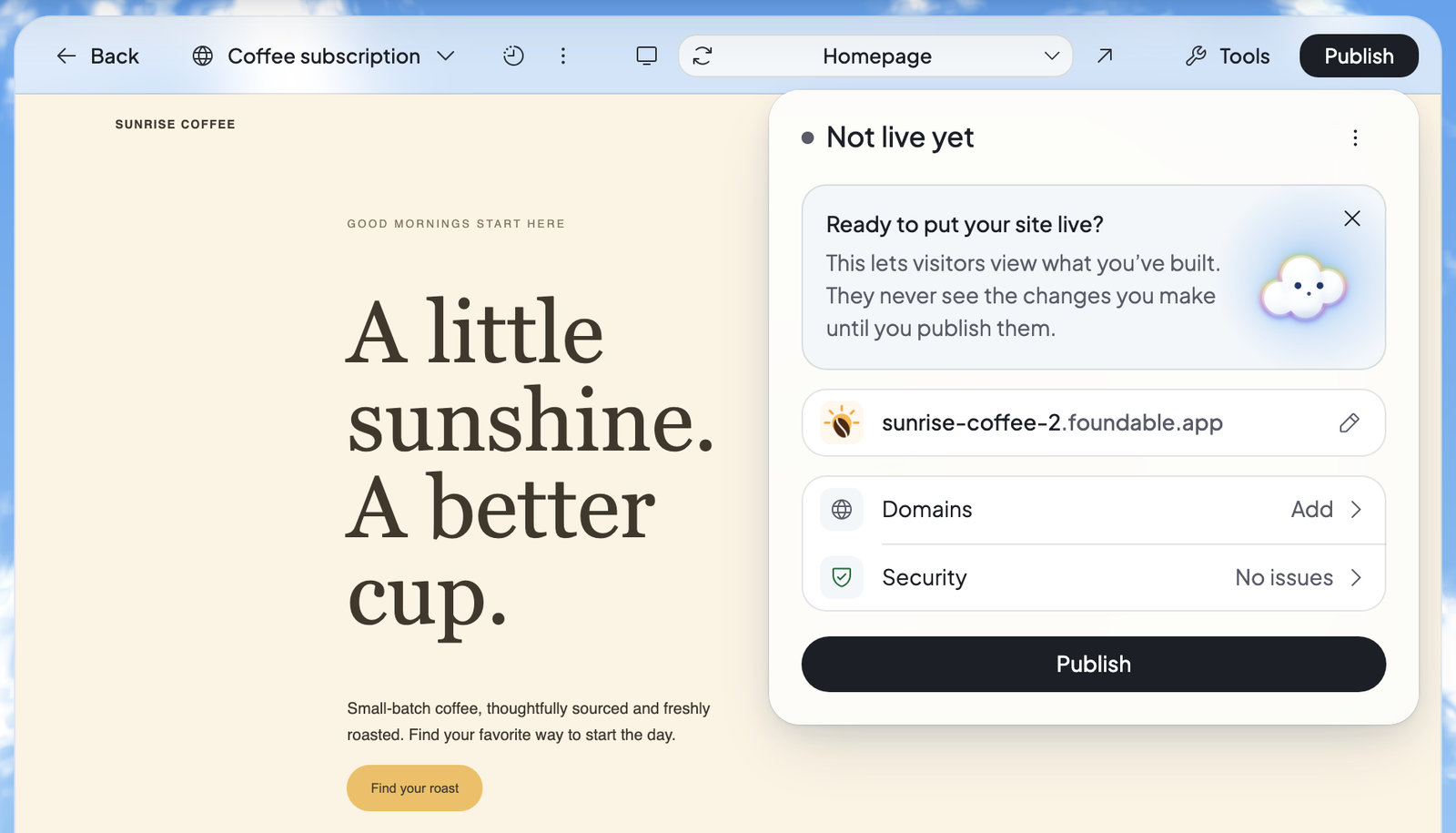 The Publish panel before a website’s first publish: Not live yet, a card explaining publishing, the suggested web address, Domains and Security, and the Publish button.